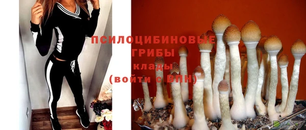 соль ск Михайловск