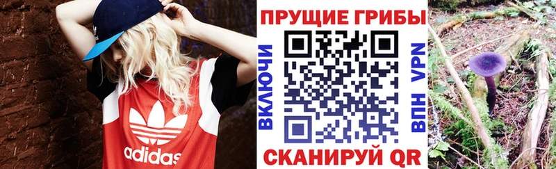 Псилоцибиновые грибы мицелий  Екатеринбург 