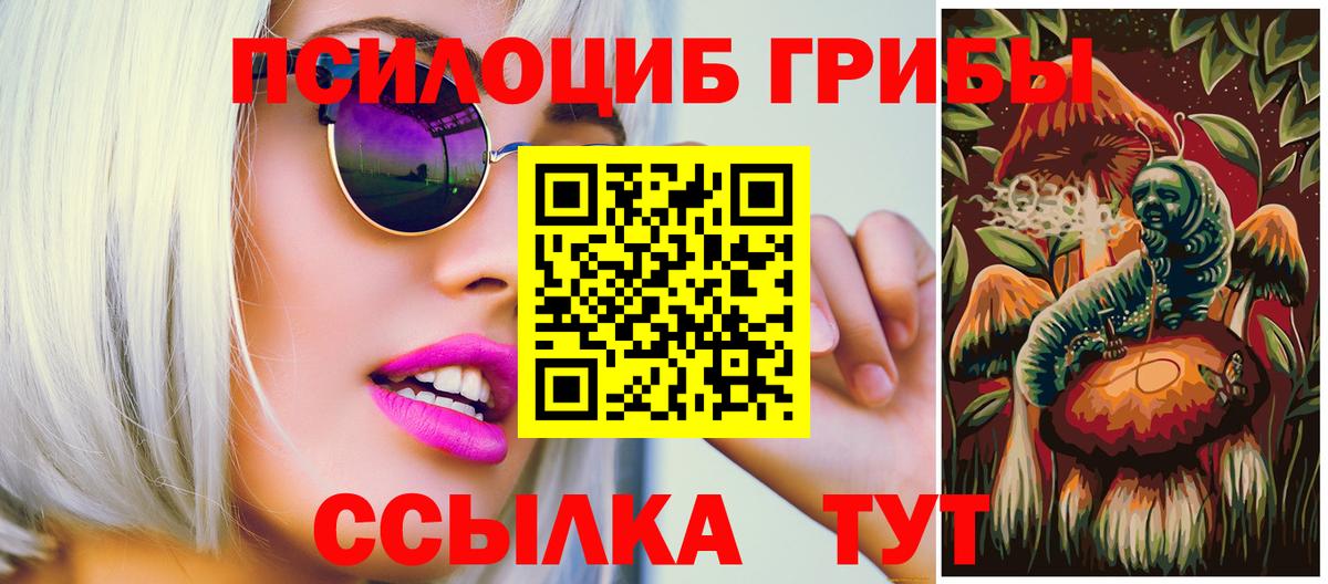 Псилоцибиновые грибы Psilocybe Екатеринбург